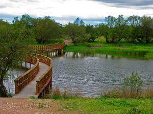 Las Tablas de Daimiel