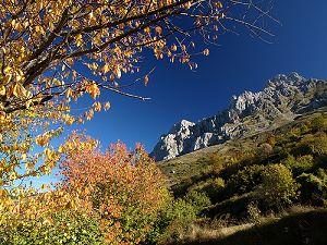 Picos de Europa