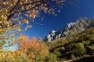 Picos de Europa