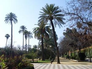 Jardines de Murillo Siviglia
