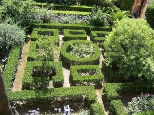 Jardines del Real Alc�zar Siviglia
