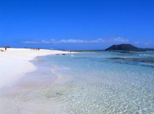 Canarie