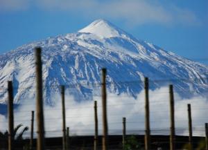 Da vedere a Tenerife