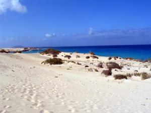 Spiagge Fuerteventura