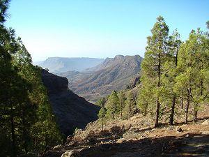 La via dell�argento