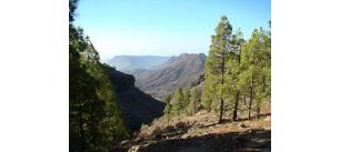 La via dell�argento